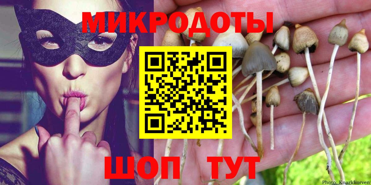 Галлюциногенные грибы Magic Shrooms Тольятти
