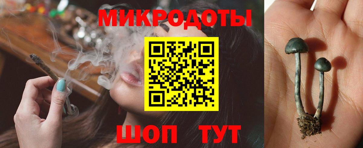 Галлюциногенные грибы Psilocybe  Галлюциногенные грибы Psilocybe  Вход с VPN  Тольятти 